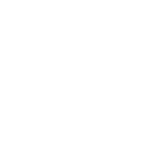 Your Company